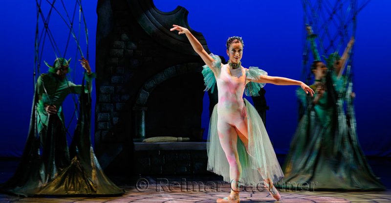 226 BJC 9 Fairy Queen P1.jpg