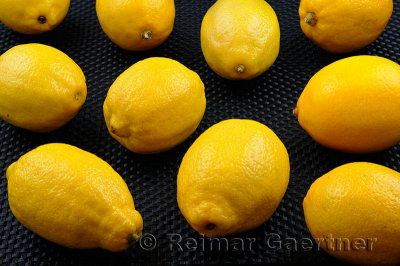 224 Lemons.jpg