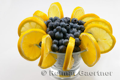 225 blueberry lemon 4.jpg