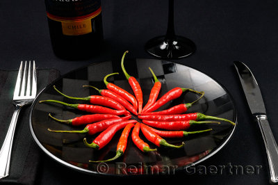225 Chili Pepper ring 2.jpg