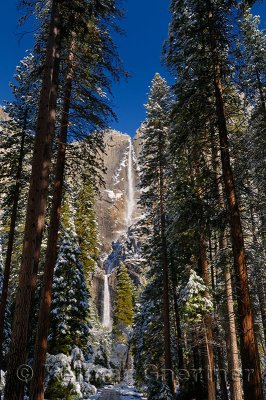 229 Yosemite Falls 1.jpg