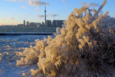 71 Toronto Icicles 8.jpg