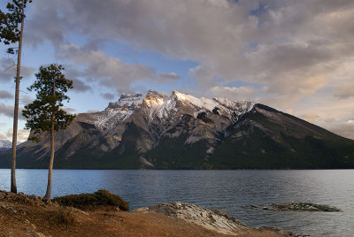 141 Lake Minnewanka Seagull 3.jpg