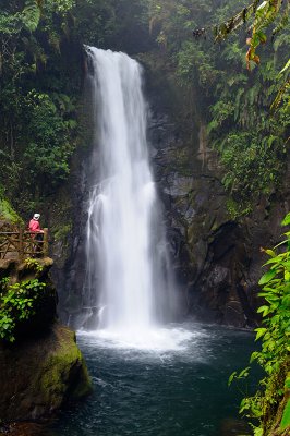158 Rainforest Waterfall 1.jpg
