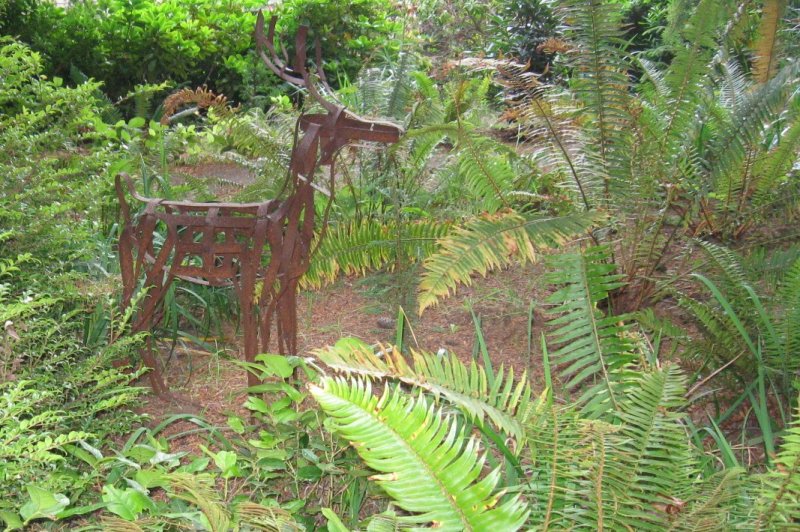 126.JPG