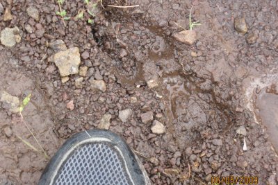 Chickahominy 09_06 045.JPG