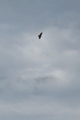 Chickahominy 09_06 054.JPG