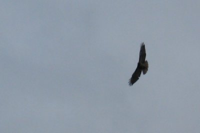 Chickahominy 09_06 055.JPG