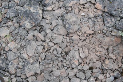 Chickahominy 09_06 059.JPG