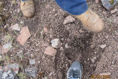 Chickahominy 09_06 060.JPG
