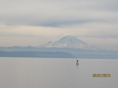 IMG_0624.jpg