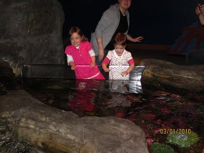 IMG_0633.jpg