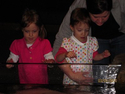 IMG_0635.jpg