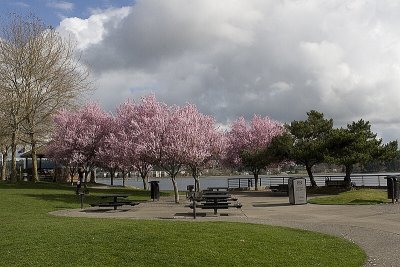IMG_2537.jpg
