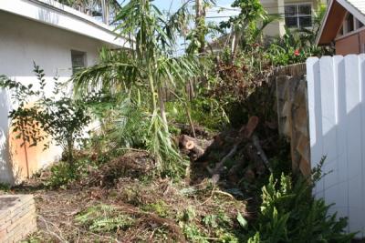Side of House piles to be removed.jpg