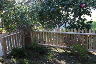 New Fence.jpg