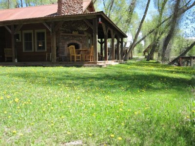 Ranch house in dandelions