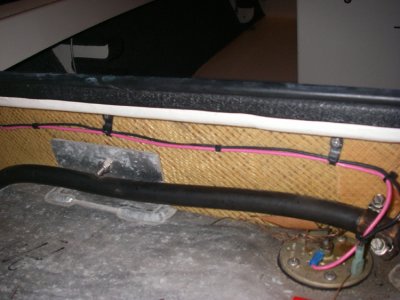 IMGP0158 web.jpg