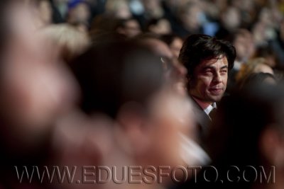 Goyas 2009 (67).jpg