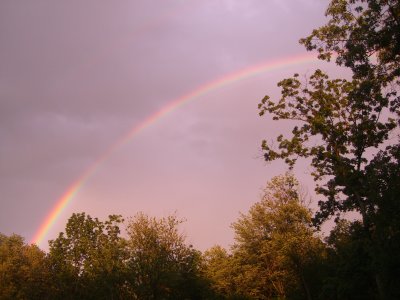 g3/48/330948/3/101209496.oG2O0YkE.jpg