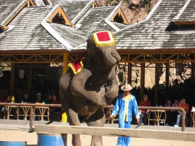 IMG_2745.JPG