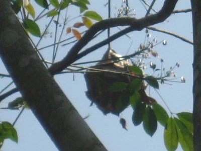IMG_2876.JPG