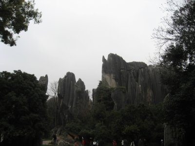 IMG_3090.JPG