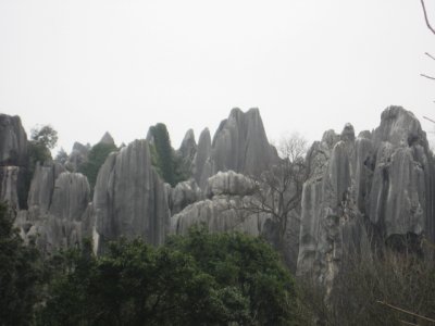 IMG_3092.JPG