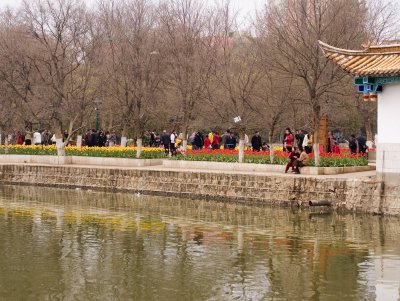 _MG_1501.jpg