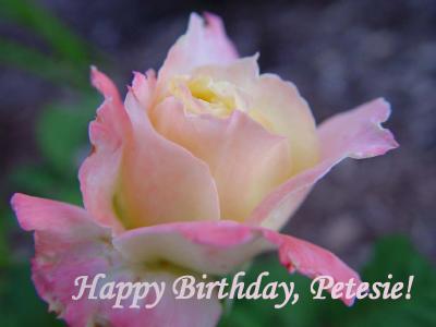 December 16, 2005Happy Birthday, Petesie!