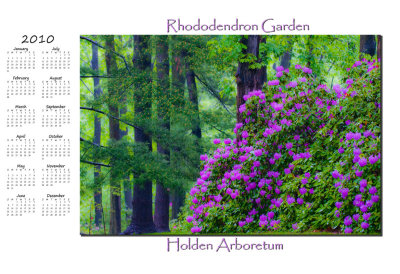 rhododendron garden copy.jpg