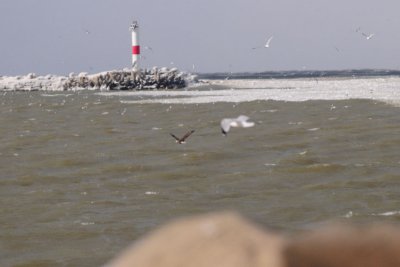 DUD_5589.jpg