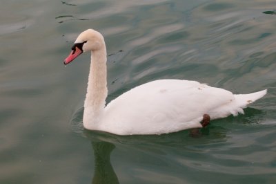 DUD_6332.jpg