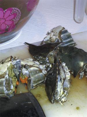 Crabs for New Year???