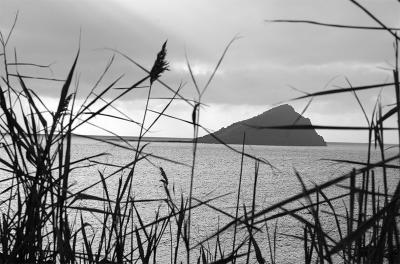 Christmas Day @ Wembury, Devon #3