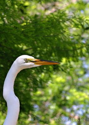 IMG_6067.jpg