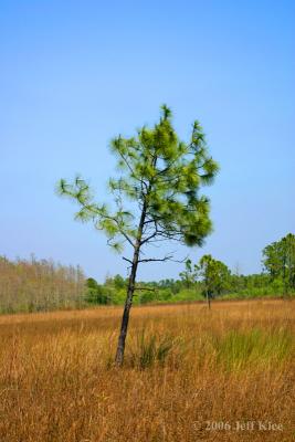 IMG_6087.jpg