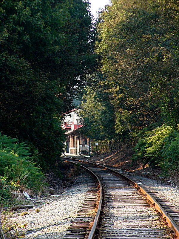 Walking the Tracks ~ September 10th