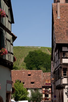 Riquewihr-2.jpg