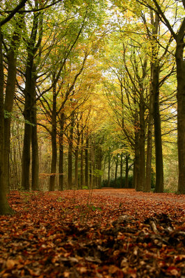 De Horsten