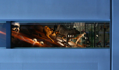 Museum window