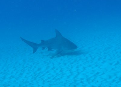 P1020191.JPG