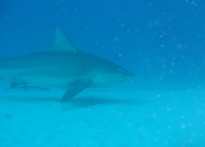 P1020416.JPG