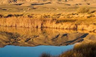 Reflections on the Morning