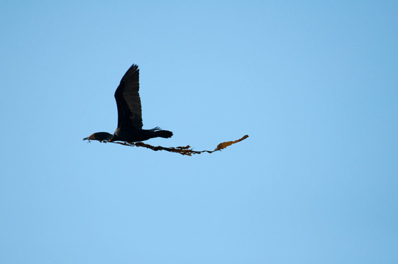 DSC_0218.jpg