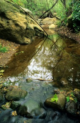 Chapter 9 - Freshwater Wetlands