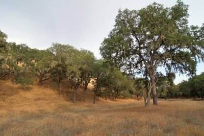 Sedgwick-06.jpg