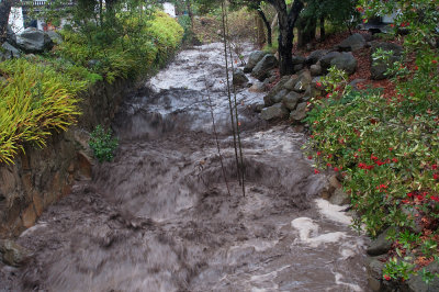 Mission Creek 1/18/10