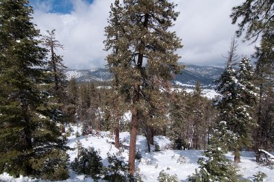 Mt.-Pinos-1.jpg