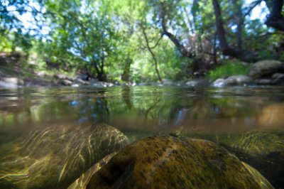 Arroyo-Hondo-Creek-1.jpg